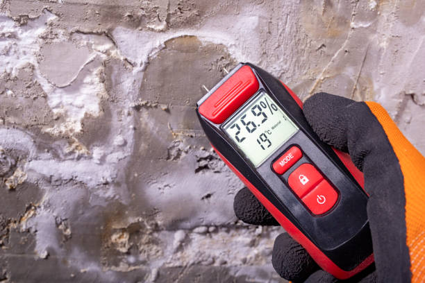 Best Attic Mold Remediation in Millersburg, OR